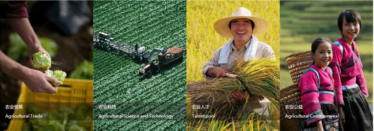 智慧农业开拓者